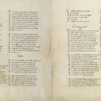 codex902.png