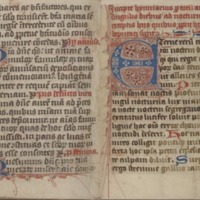 Ms. Codex 655